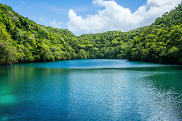 Serene tropical lagoon surrounded by lush greenery under a bright blue sky, ideal for relaxation