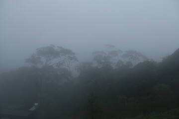 Beautiful Landscape photos of Sri lanka, Hills, Waterfalls 