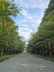 road in the forest