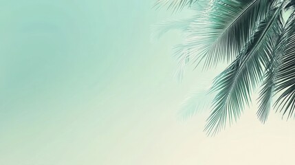 Fototapeta premium Tranquil Tropical Background with Lush Palm Leaves and Soft Tones