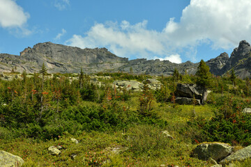 The gently sloping rocky slope of the mountain is partially overgrown with high cedars against the background of the pointed rocks of the mountain ranges.