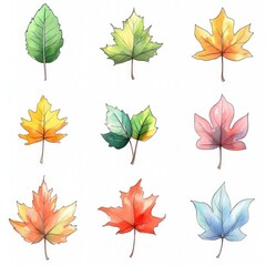 Fototapeta premium A set of nine watercolor leaves in various colors and shapes.