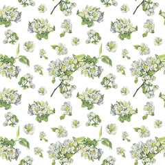 Seamless pattern watercolor branch with apple blossoms on white background. Spring aromatic flowers. Lush foliage for romantic celebration. Art for wedding invite or 8 March. Wallpaper wrapping