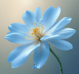 Naklejka premium white flower on a white background