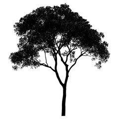 Tree outline silhouette white art vector