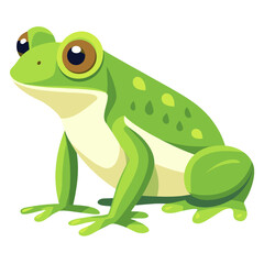Fototapeta premium Frog frog illustration amphibian vector