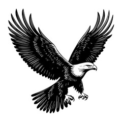 Obraz premium Simple eagle full body flying linear illustration bird art vector