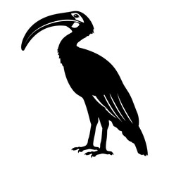 Fototapeta premium Hornbill bird silhouette illustration black white vector