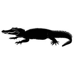 Obraz premium Alligators alligator illustration silhouette vector