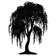 Weeping willow tree silhouette illustration black vector