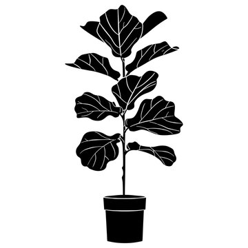 black fiddle leaf fig plant silhouette clip art preview