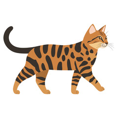 Fototapeta premium Spotted cat walking illustration animal pet vector