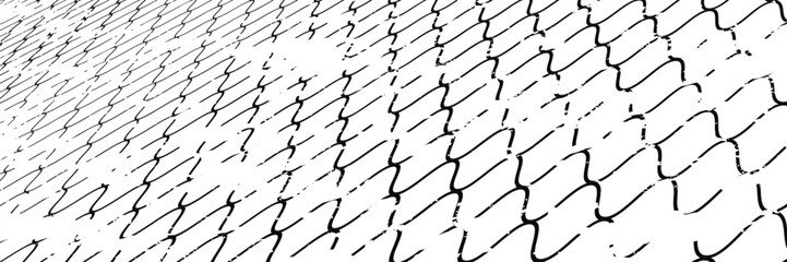 Black snake skin pattern isolated on white background vector