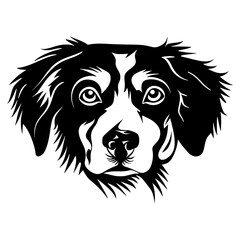 Obraz premium Collection portrait Beagle dog animal illustration stencil vector