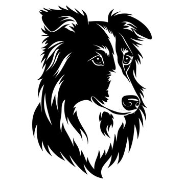 recommend clip art: Collection portrait Sheltie dog animal pet art vector