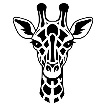 Simple giraffe face linear illustration wildlife animal vector