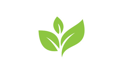 Green leaf logo