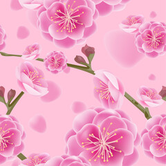Mei flowers, Chinese national flower bright pink, vector illustration and design.