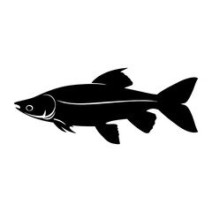Obraz premium King arowana fish silhouette illustration animal simple vector