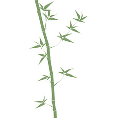 Fototapeta premium Bamboo tree illustration plant minimalist vector