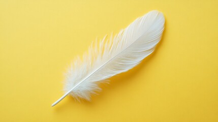 Obraz premium Single white feather rests on yellow background