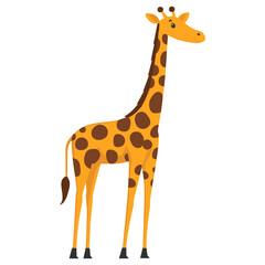 Obraz premium Giraffe illustration wildlife animal vector
