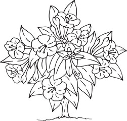 hand drawn illustration of afternoon blooming flowers