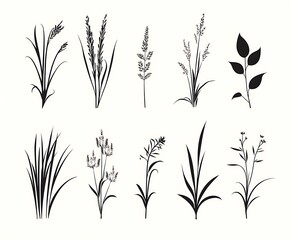 Fototapeta premium a collection of grass silhouettes.