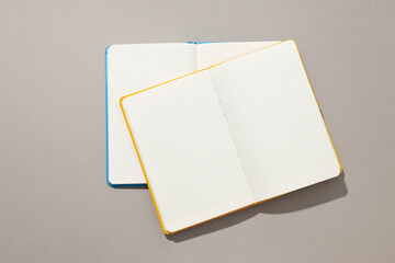 Open notebooks lie on a light background