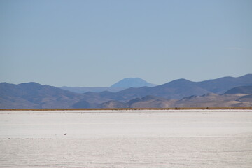 Salinas, a salt flat in the Jujuy province of Argentina, landscape, travel, nature