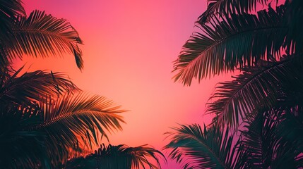 Obraz premium Vibrant sunset view framed by lush palm fronds.