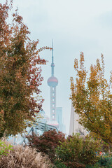 Obraz premium Cityscape view of Shanghai city, China. Skyscraper of Lujiazui in Pudong with qingren flower sight garden. landmark and popular for tourism attractions. Travel and Vacation concept