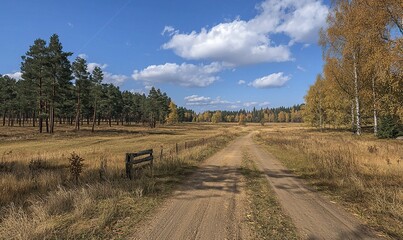 Naklejka premium Dirt road through autumn meadow, pine and birch trees, sunny sky.