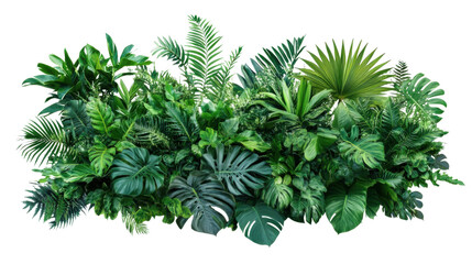 Tropical leaves bunch , foliage plant jungle bush floral on transparent background