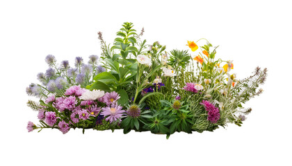 Fototapeta premium Vibrant Collection of Garden Plants and Flowers