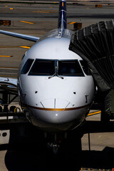 Fototapeta premium airplane in the airport