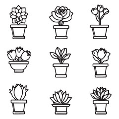 Flowers Continuous Line Icons