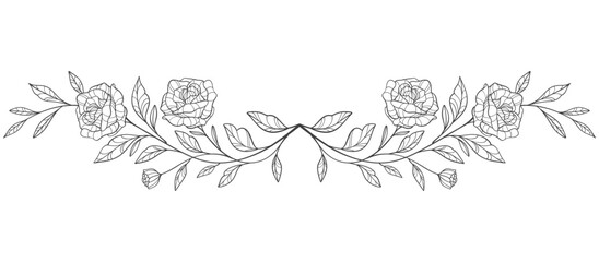 Sketch Floral Botany Collection. flower drawings. Black and white with line art on transparent backgrounds. Hand Drawn Botanical Illustrations.Vector.
