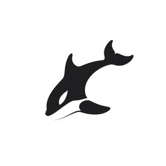 Fototapeta premium A stylized black and white orca silhouette