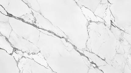 Obraz premium White Marble Texture With Grey Veining