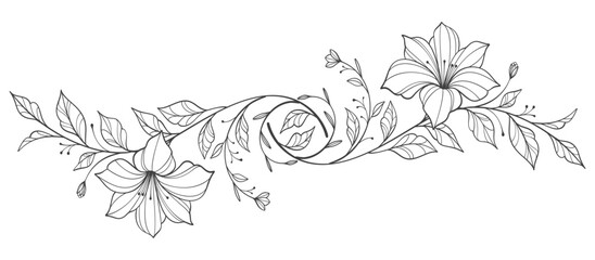 Sketch Floral Botany Collection. flower drawings. Black and white with line art on transparent backgrounds. Hand Drawn Botanical Illustrations.Vector.