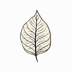 Elegant Beige Leaf Illustration Botanical Line Art Nature Design Element Simple Single Leaf Graphic