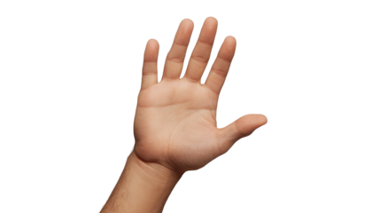 Open Hand Gesture: A close-up shot of a person's open hand, palm facing the viewer, with fingers outstretched. It symbolizes openness, acceptance, welcome, and a request for attention.