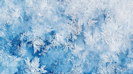 Fototapeta premium winter ground closeup, natural snow crystallization, pure white patterns, gentle shadow detail, organic frost formations, pristine snow texture, delicate winter surface, subtle blue tones, abstract