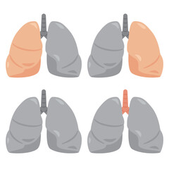 肺の構造イラストセット1