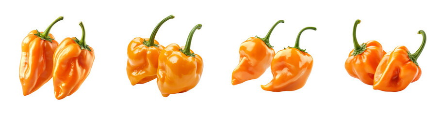 A collection of vibrant orange habanero peppers are shown against a black background, showcasing their glossy texture and bright color.