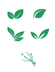 green leaves icon