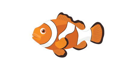 Clown fish on transparent background