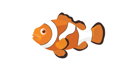 Clown fish on transparent background