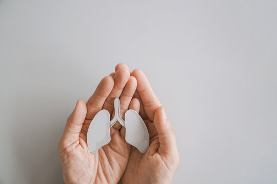 hands holding paper lung, world tuberculosis tb day, world no tobacco day, lung cancer,COPD, eco air pollution, organ donation concept
